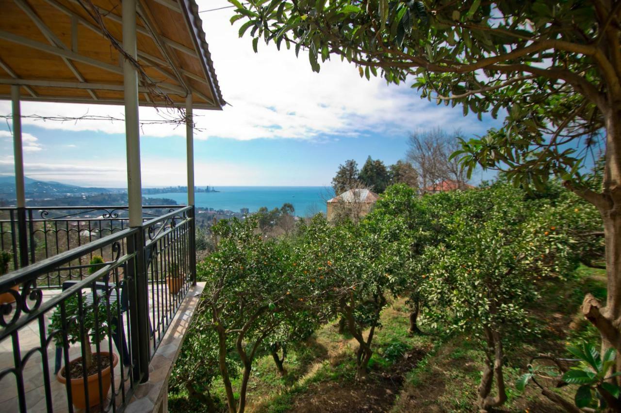 Guesthouse Mtsvane Koncxi 22 Mtsvane Kontskhi Exterior photo